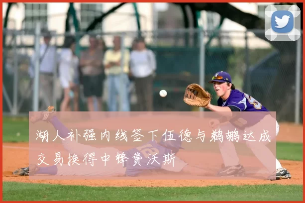 湖人补强内线签下伍德与鹈鹕达成交易换得中锋费沃斯