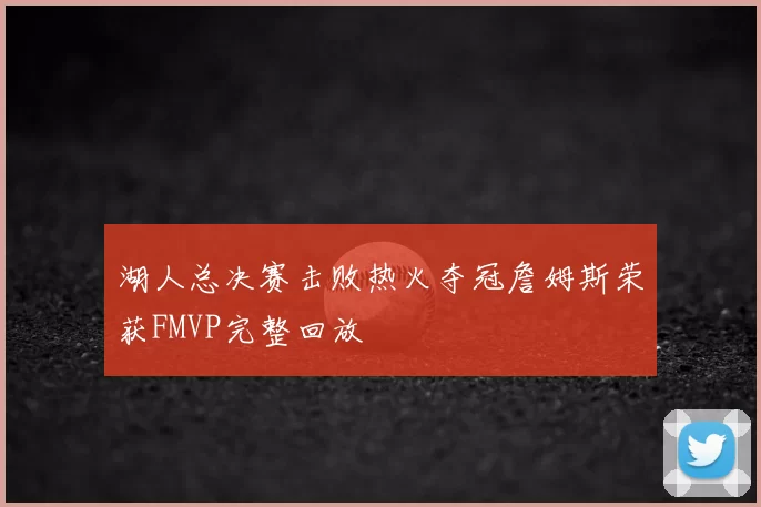 湖人总决赛击败热火夺冠詹姆斯荣获FMVP完整回放