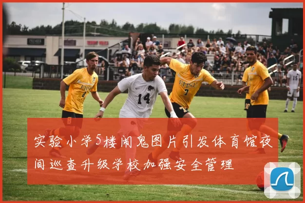 实验小学5楼闹鬼图片引发体育馆夜间巡查升级学校加强安全管理