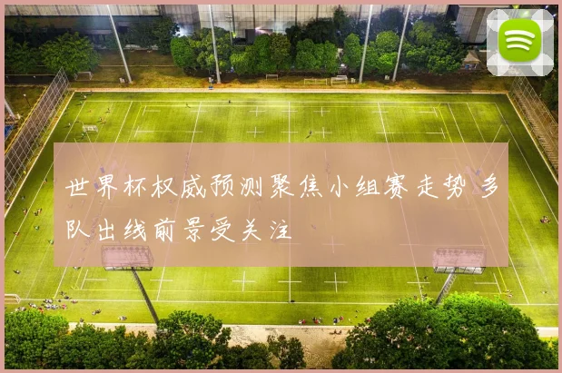 世界杯权威预测聚焦小组赛走势 多队出线前景受关注