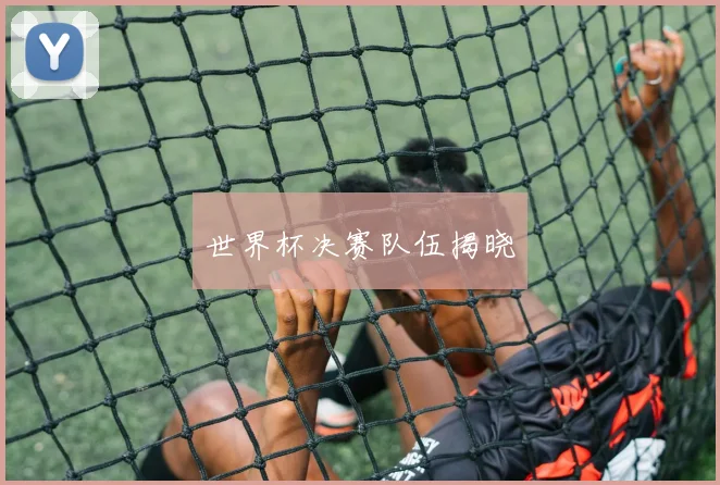 世界杯决赛队伍揭晓