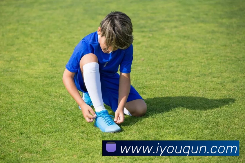 EMC易倍(官方网站)中国大陆 - 科技有限公司平台生态图